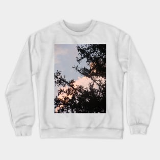 Pine and Sky Crewneck Sweatshirt